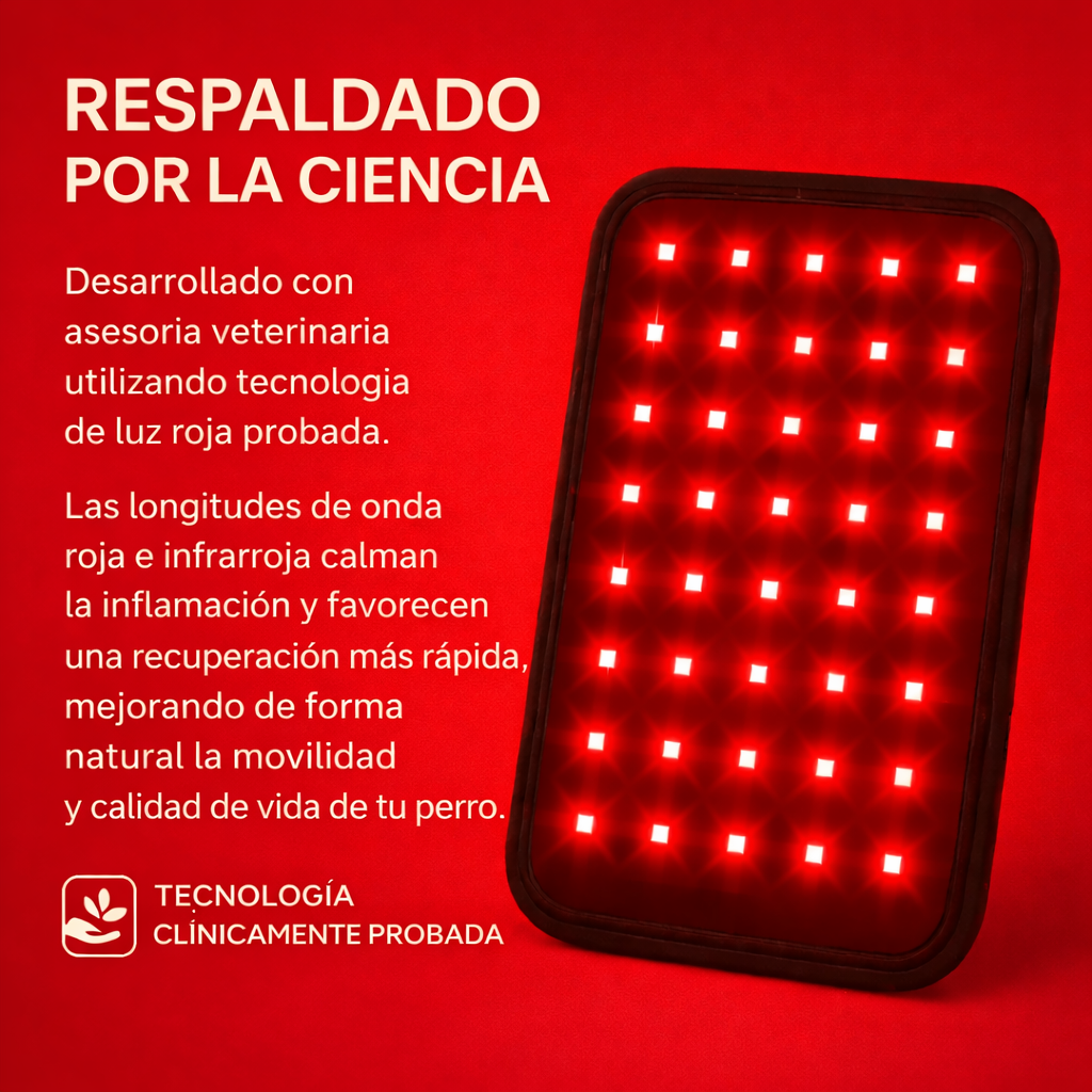 PawRestore™ — Terapia De Luz Roja