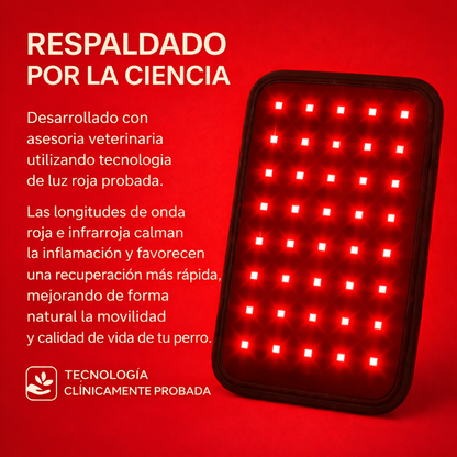 PawRestore™ — Terapia De Luz Roja